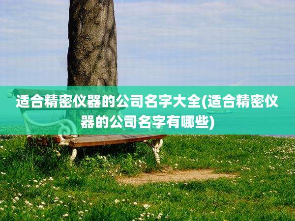 适合精密仪器的公司名字大全(适合精密仪器的公司名字有哪些)