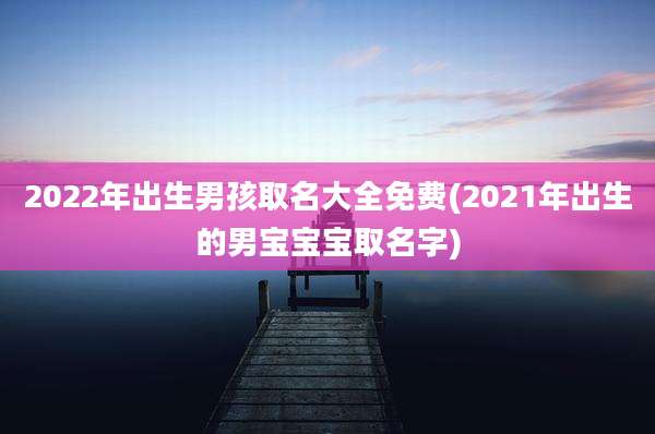 2022年出生男孩取名大全免费(2021年出生的男宝宝宝取名字)