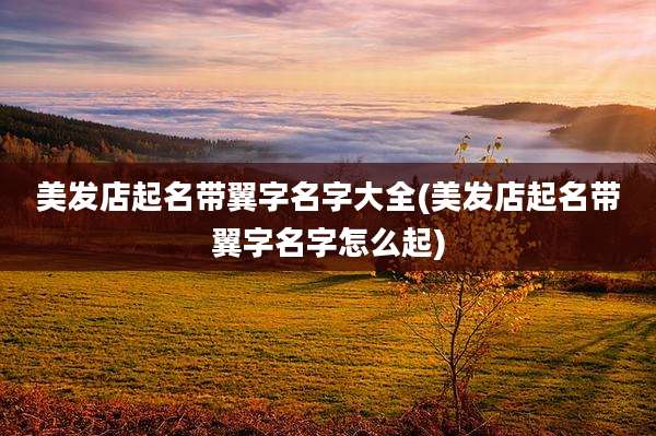 美发店起名带翼字名字大全(美发店起名带翼字名字怎么起)
