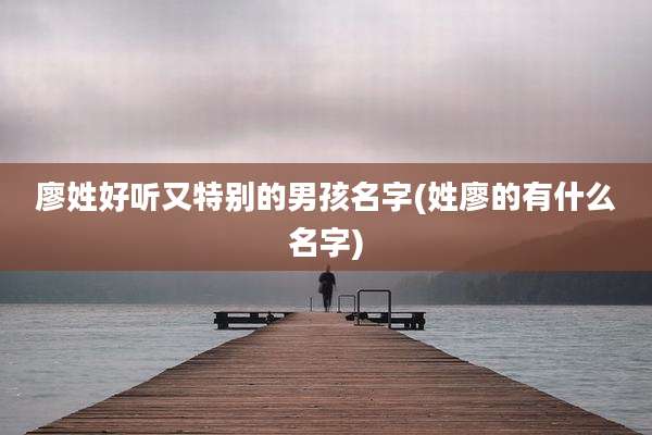 廖姓好听又特别的男孩名字(姓廖的有什么名字)