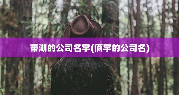 带湖的公司名字(俩字的公司名)