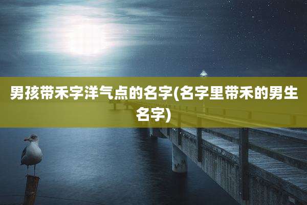 男孩带禾字洋气点的名字(名字里带禾的男生名字)
