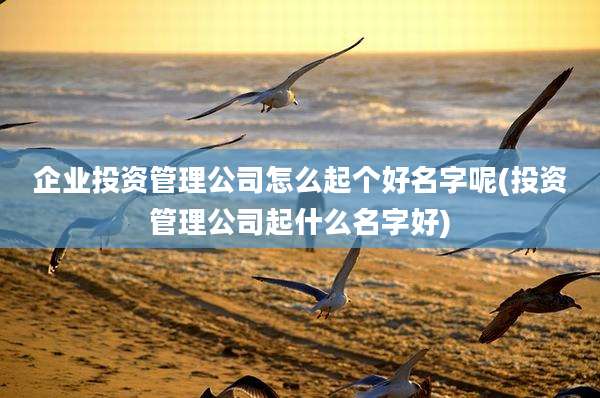 企业投资管理公司怎么起个好名字呢(投资管理公司起什么名字好)