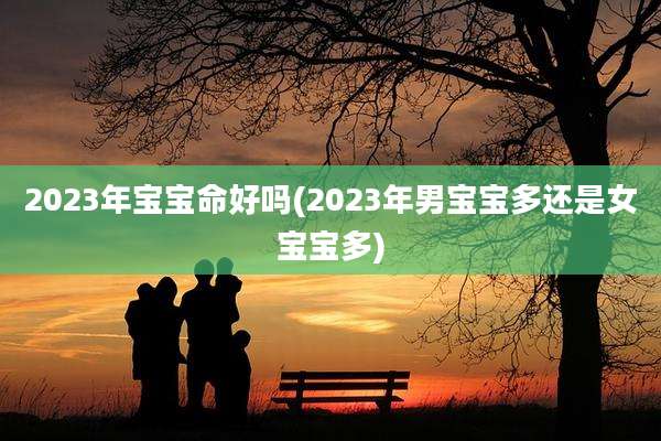 2023年宝宝命好吗(2023年男宝宝多还是女宝宝多)