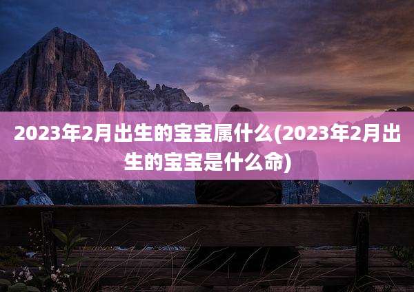 2023年2月出生的宝宝属什么(2023年2月出生的宝宝是什么命)
