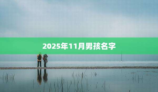 2025年11月男孩名字