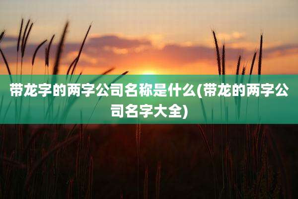 带龙字的两字公司名称是什么(带龙的两字公司名字大全)
