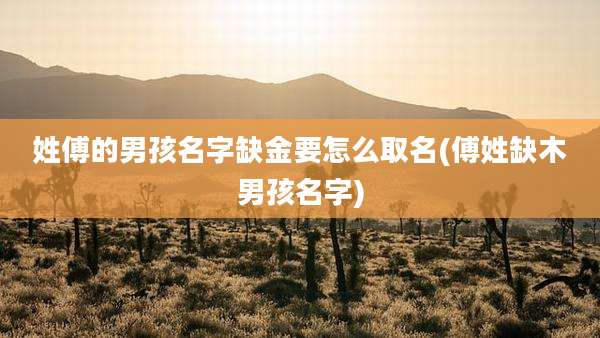 姓傅的男孩名字缺金要怎么取名(傅姓缺木男孩名字)