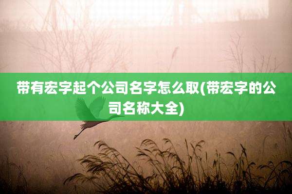 带有宏字起个公司名字怎么取(带宏字的公司名称大全)