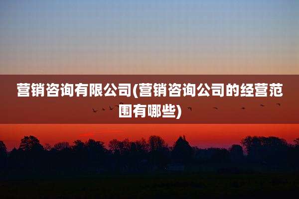 营销咨询有限公司(营销咨询公司的经营范围有哪些)