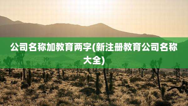 公司名称加教育两字(新注册教育公司名称大全)