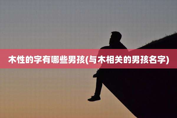木性的字有哪些男孩(与木相关的男孩名字)