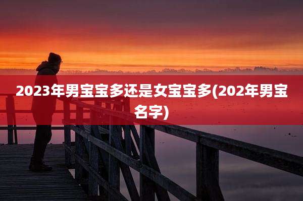 2023年男宝宝多还是女宝宝多(202年男宝名字)