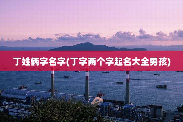 丁姓俩字名字(丁字两个字起名大全男孩)