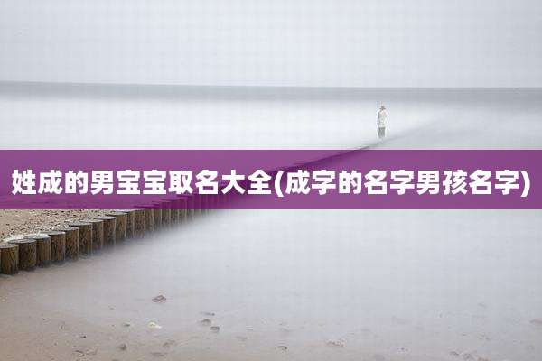 姓成的男宝宝取名大全(成字的名字男孩名字)