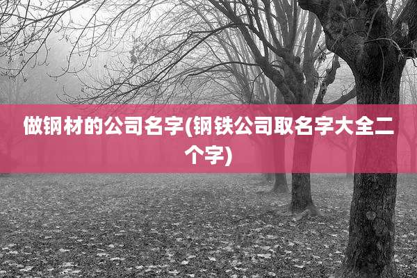 做钢材的公司名字(钢铁公司取名字大全二个字)