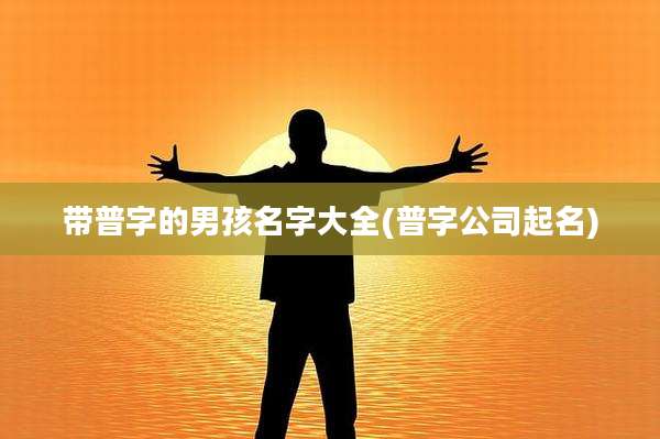 带普字的男孩名字大全(普字公司起名)