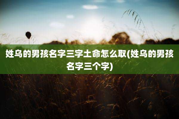 姓乌的男孩名字三字土命怎么取(姓乌的男孩名字三个字)