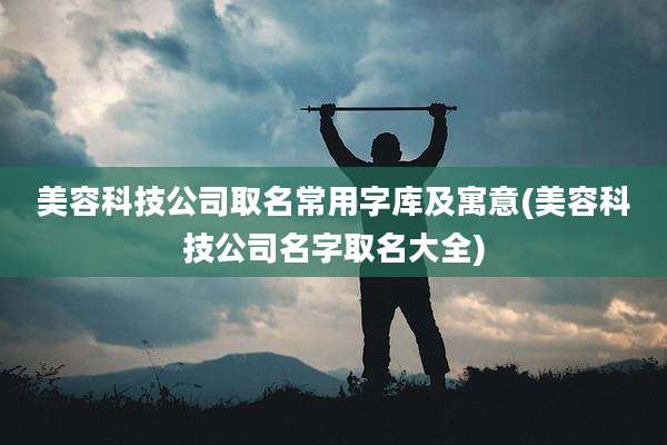 美容科技公司取名常用字库及寓意(美容科技公司名字取名大全)