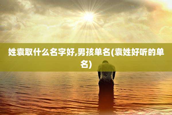 姓袁取什么名字好,男孩单名(袁姓好听的单名)