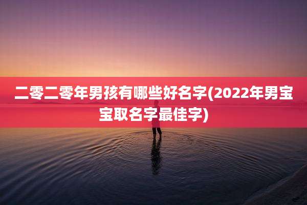 二零二零年男孩有哪些好名字(2022年男宝宝取名字最佳字)
