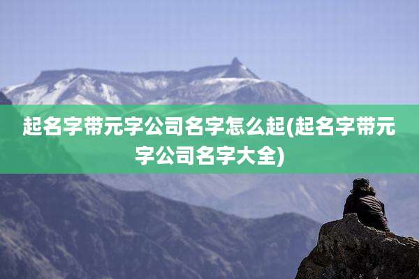 起名字带元字公司名字怎么起(起名字带元字公司名字大全)