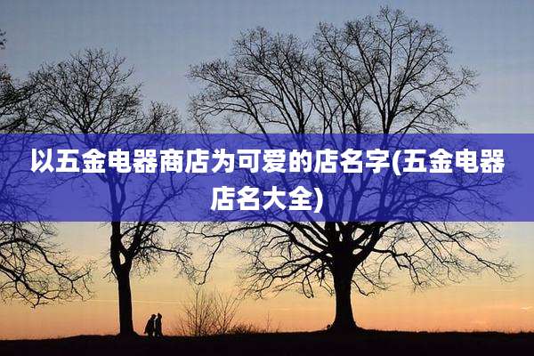 以五金电器商店为可爱的店名字(五金电器店名大全)