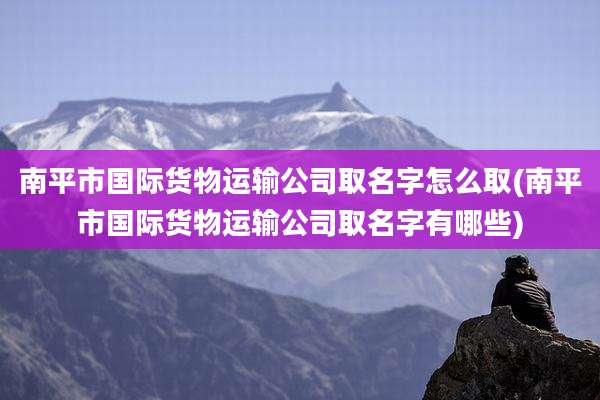 南平市国际货物运输公司取名字怎么取(南平市国际货物运输公司取名字有哪些)