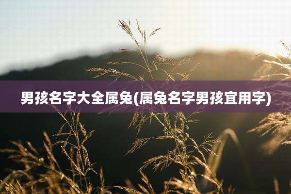 男孩名字大全属兔(属兔名字男孩宜用字)