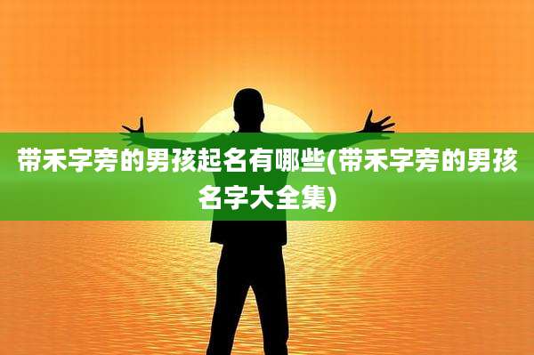 带禾字旁的男孩起名有哪些(带禾字旁的男孩名字大全集)