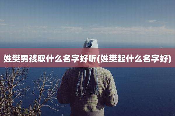 姓樊男孩取什么名字好听(姓樊起什么名字好)