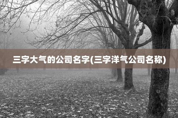 三字大气的公司名字(三字洋气公司名称)