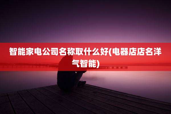 智能家电公司名称取什么好(电器店店名洋气智能)
