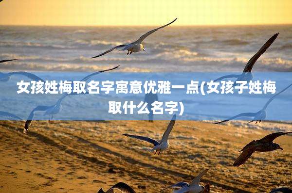女孩姓梅取名字寓意优雅一点(女孩子姓梅取什么名字)