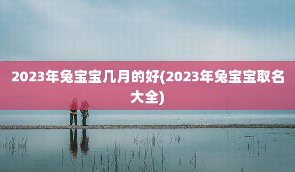 2023年兔宝宝几月的好(2023年兔宝宝取名大全)
