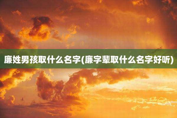 廉姓男孩取什么名字(廉字辈取什么名字好听)