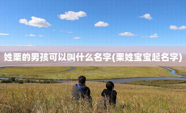 姓栗的男孩可以叫什么名字(栗姓宝宝起名字)