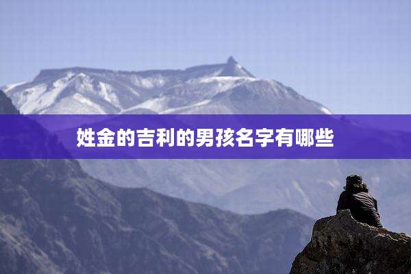 姓金的吉利的男孩名字有哪些