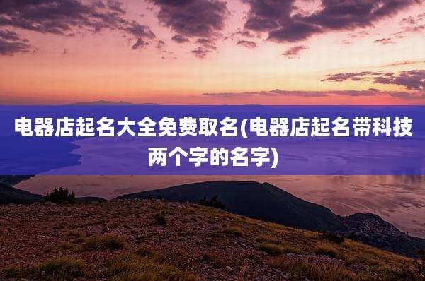 电器店起名大全免费取名(电器店起名带科技两个字的名字)