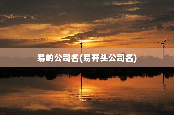 易的公司名(易开头公司名)