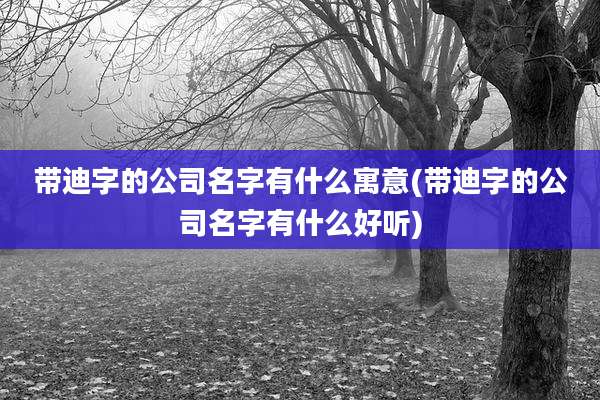 带迪字的公司名字有什么寓意(带迪字的公司名字有什么好听)