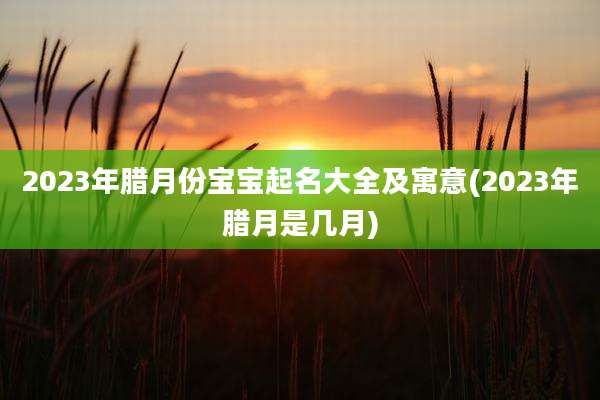 2023年腊月份宝宝起名大全及寓意(2023年腊月是几月)