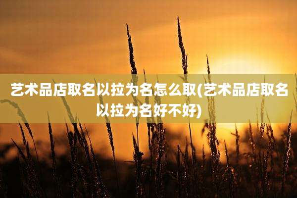 艺术品店取名以拉为名怎么取(艺术品店取名以拉为名好不好)