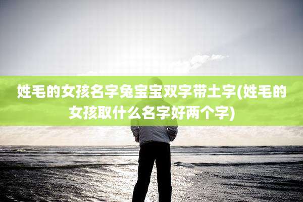 姓毛的女孩名字兔宝宝双字带土字(姓毛的女孩取什么名字好两个字)