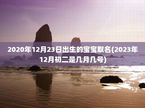 2020年12月23日出生的宝宝取名(2023年12月初二是几月几号)