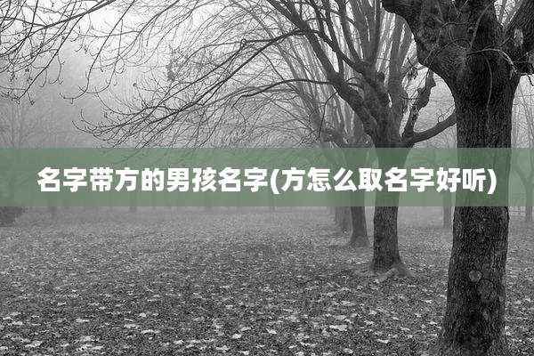 名字带方的男孩名字(方怎么取名字好听)