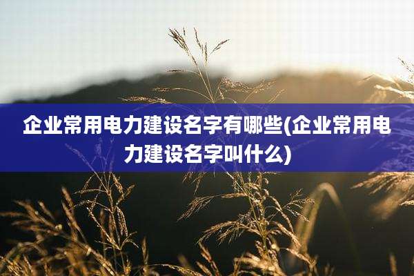 企业常用电力建设名字有哪些(企业常用电力建设名字叫什么)
