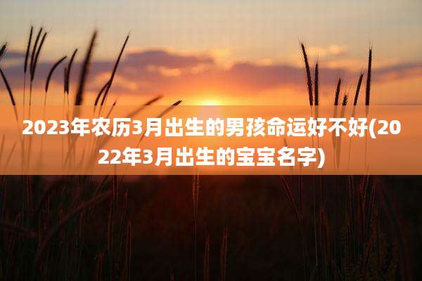 2023年农历3月出生的男孩命运好不好(2022年3月出生的宝宝名字)