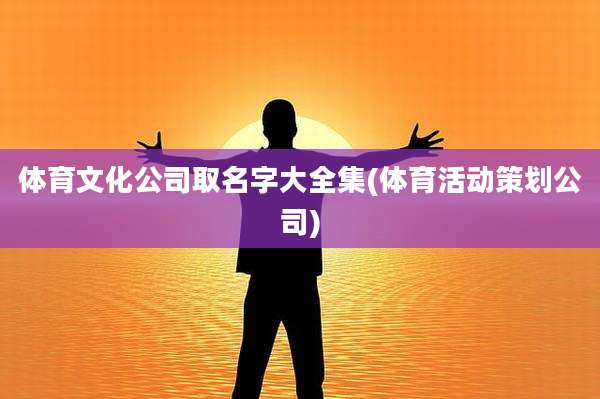体育文化公司取名字大全集(体育活动策划公司)