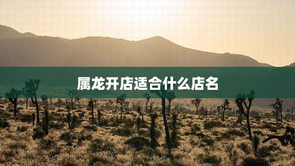 属龙开店适合什么店名